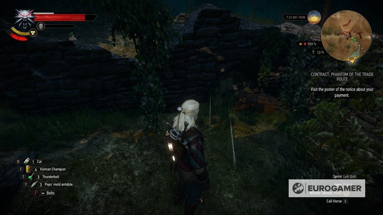 The Witcher 3 Feline gear How to get all Feline armor and Feline sword